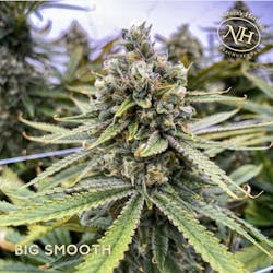 The Big Smooth 3.5g