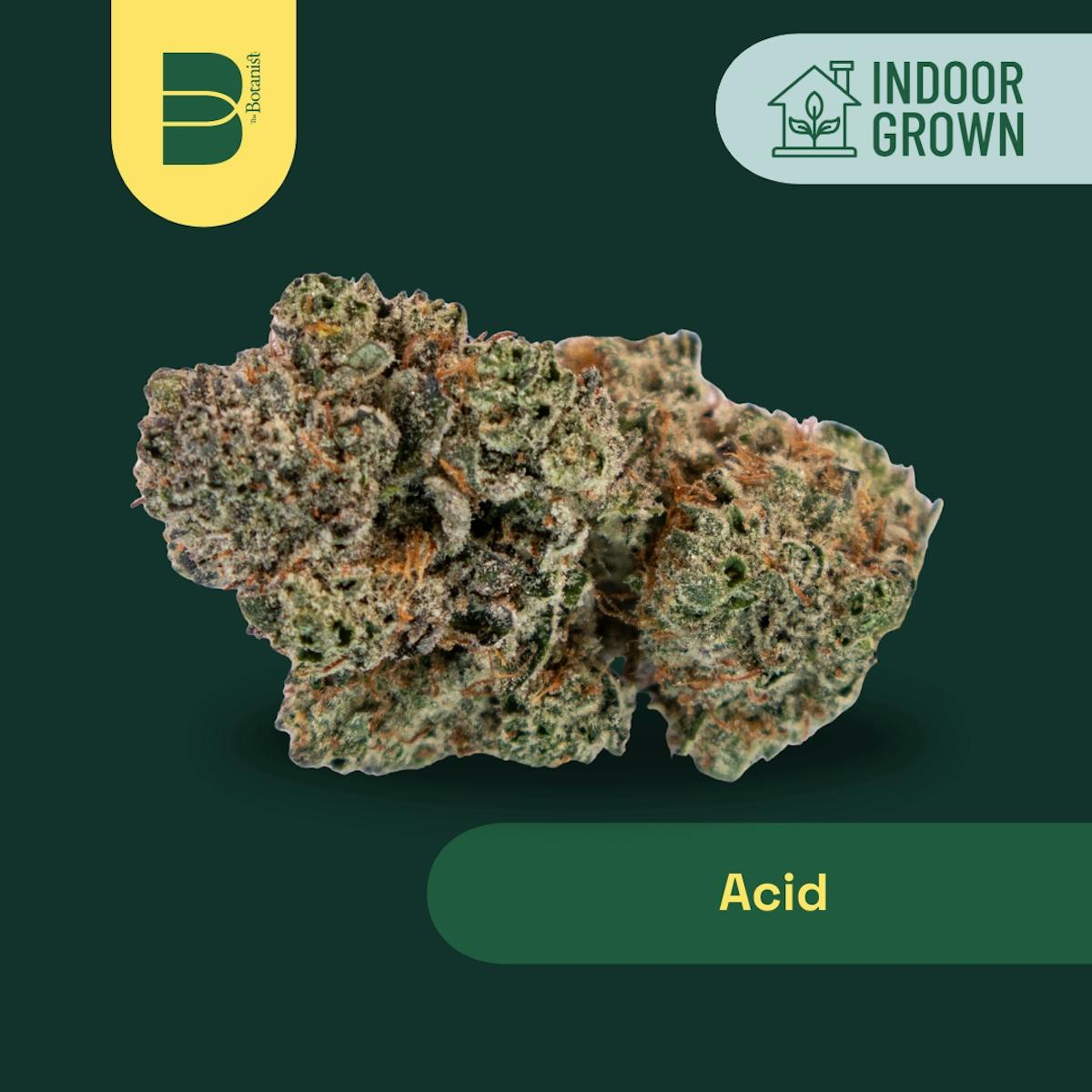 Image of Acid Flower