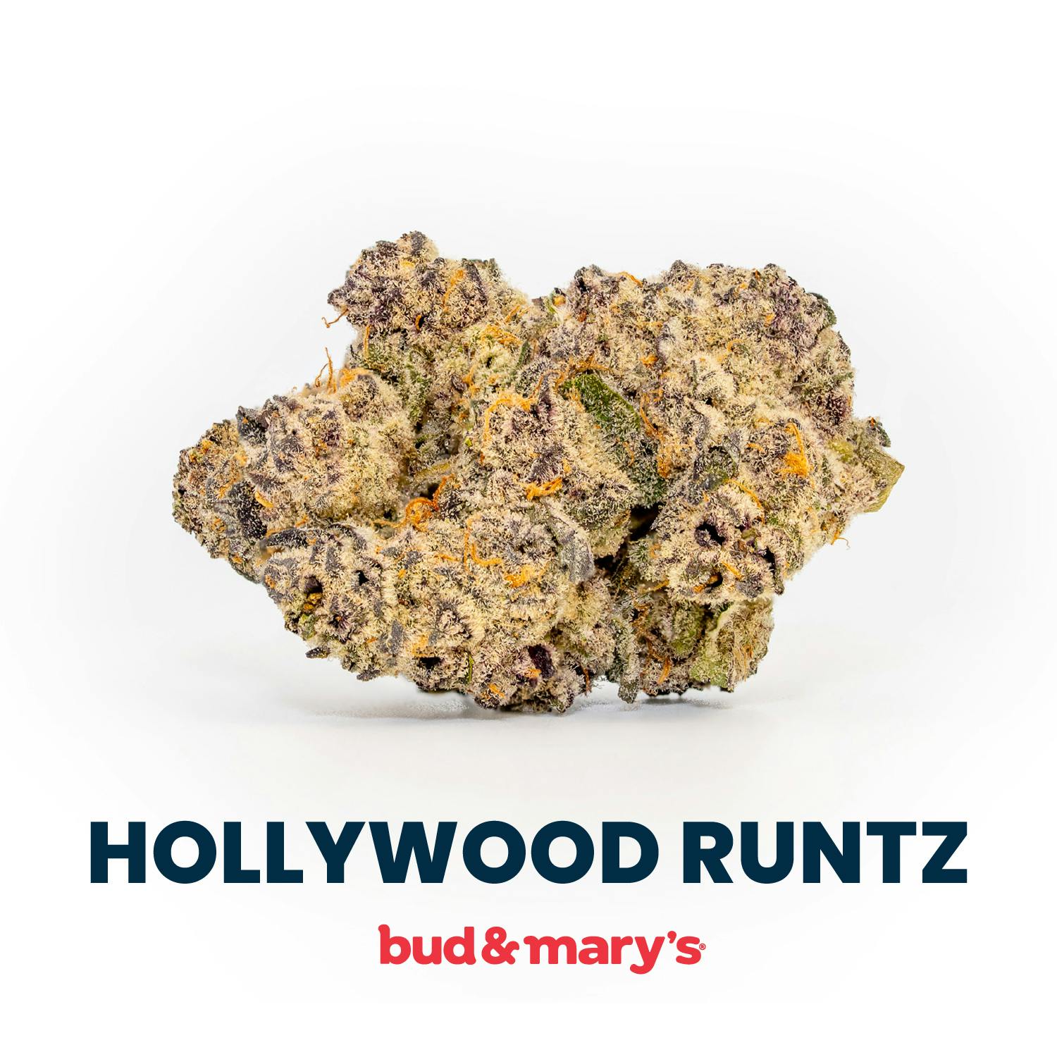 Product: Bud & Mary's | Bulk Bud - Hollywood Runtz