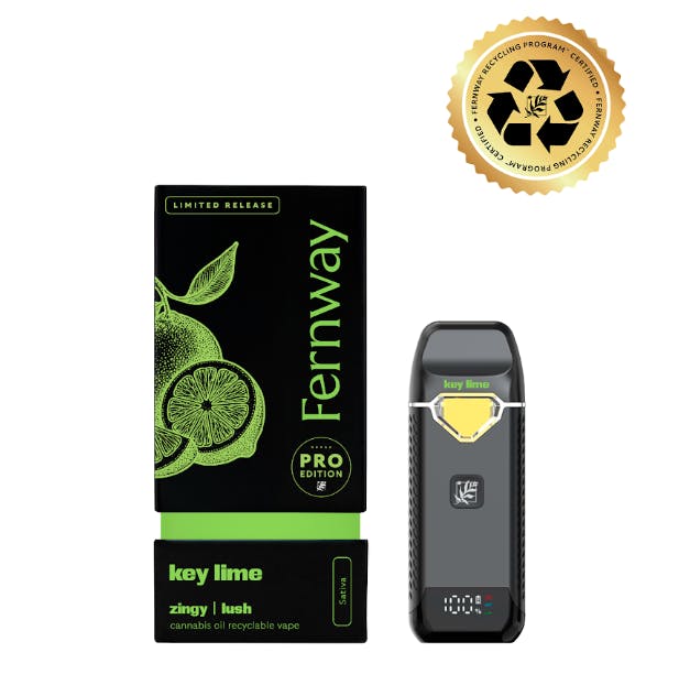 Fernway Key Lime Disposable PRO 2G