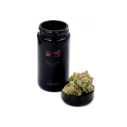 710 Labs – Randy Watzon 13 – Indoor-active