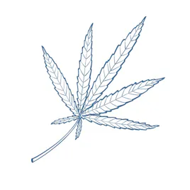 Flower category image