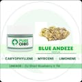 Pure Ohio Wellness: Blue Andeze - 2.83g