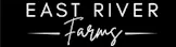 dispensary logo