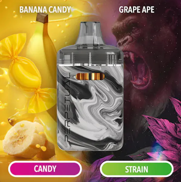 elf bar vape uk Jack Herer & Grand Daddy Purp 2g Duo Disposable Vape Perpetual - Perpetual main image 1