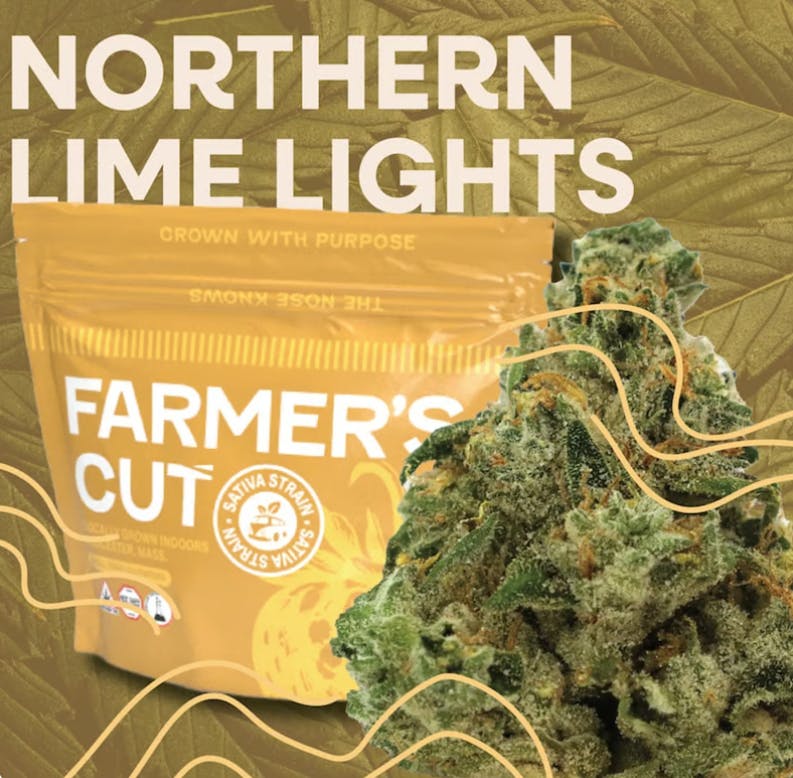 Product: Northern Lime Lights [3.5g]