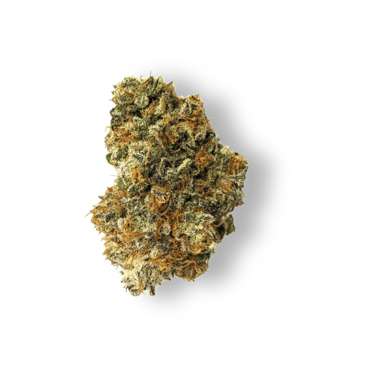 Photo of Ozone Banana Daddy