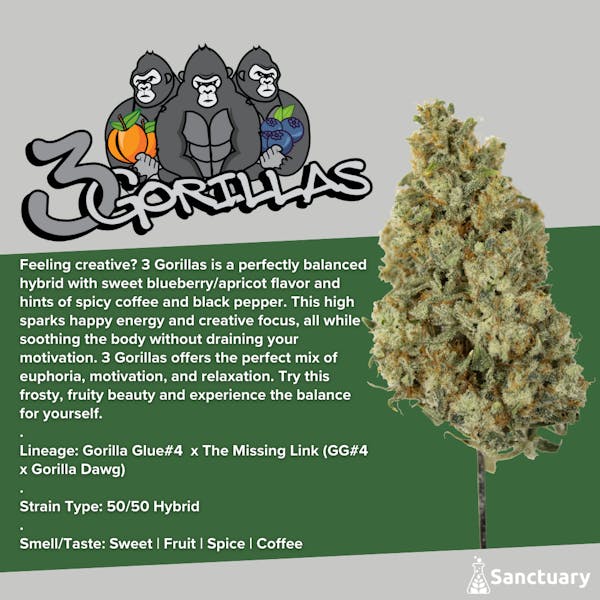 3 Gorillas | 28g | Flower | Sanctuary