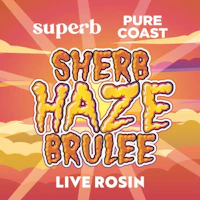Superb Cannabis - 3.5g Rosin - Sherb Haze Brulee - product image at King of Budz