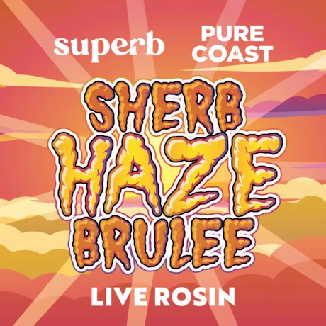 Superb Cannabis - 3.5g Rosin - Sherb Haze Brulee - product image at King of Budz