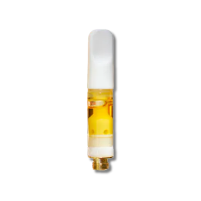 MYTREX HIHO FINE BUBBLE＋e – FEMASTIC
