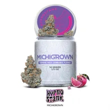 Michigrown - 14g Prepack Jar - Hypno Stank - FLOWER by Michigrown at King of Budz