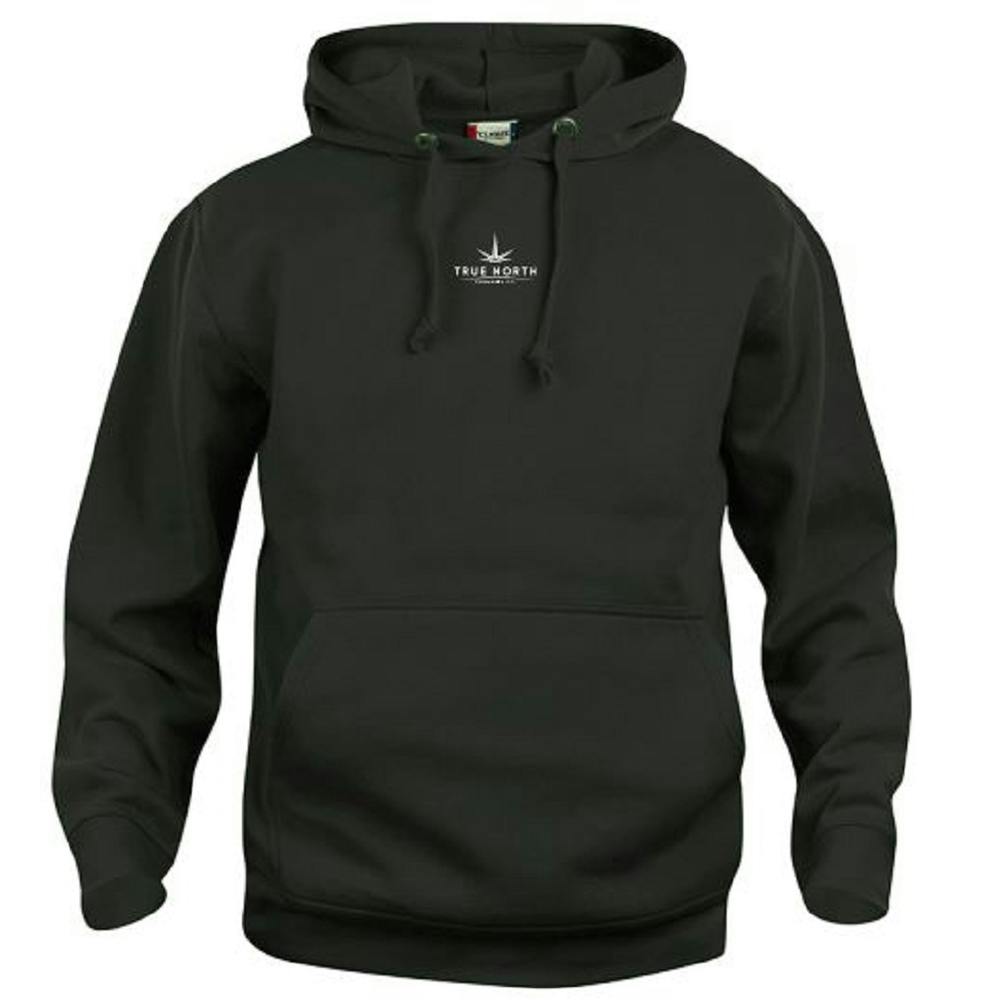 The north face trunorth hot sale hoodie