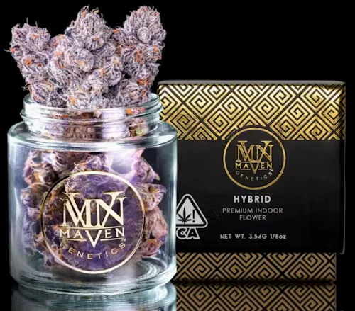 Maven Genetics Maven H New Money — Los Angeles weed at LAXCC