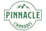 dispensary logo