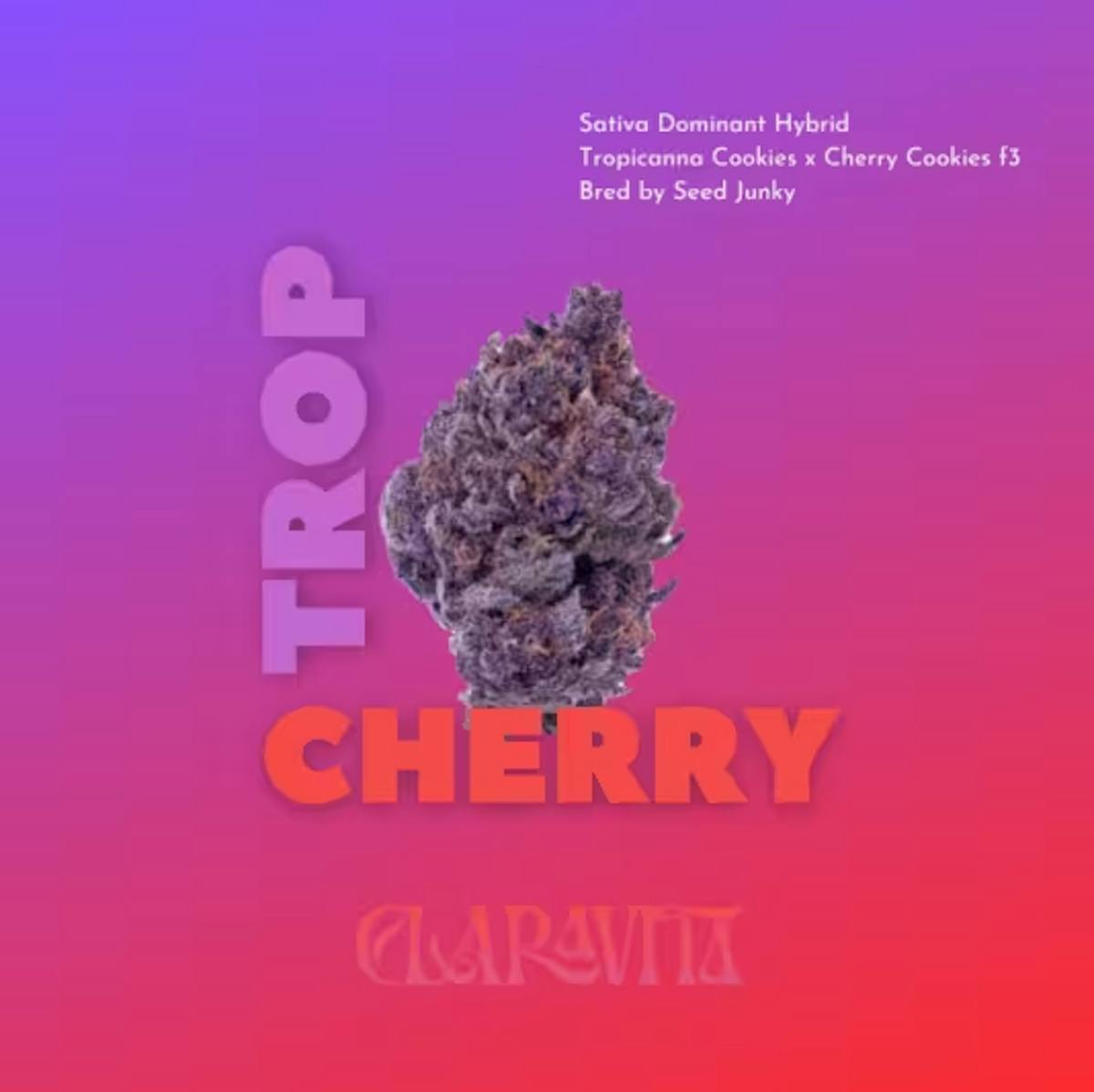 Photo of Tropicana Cherry 1g Pre-Roll Claravita