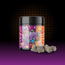 Hytek - 14g Prepack Jar - Popz 41