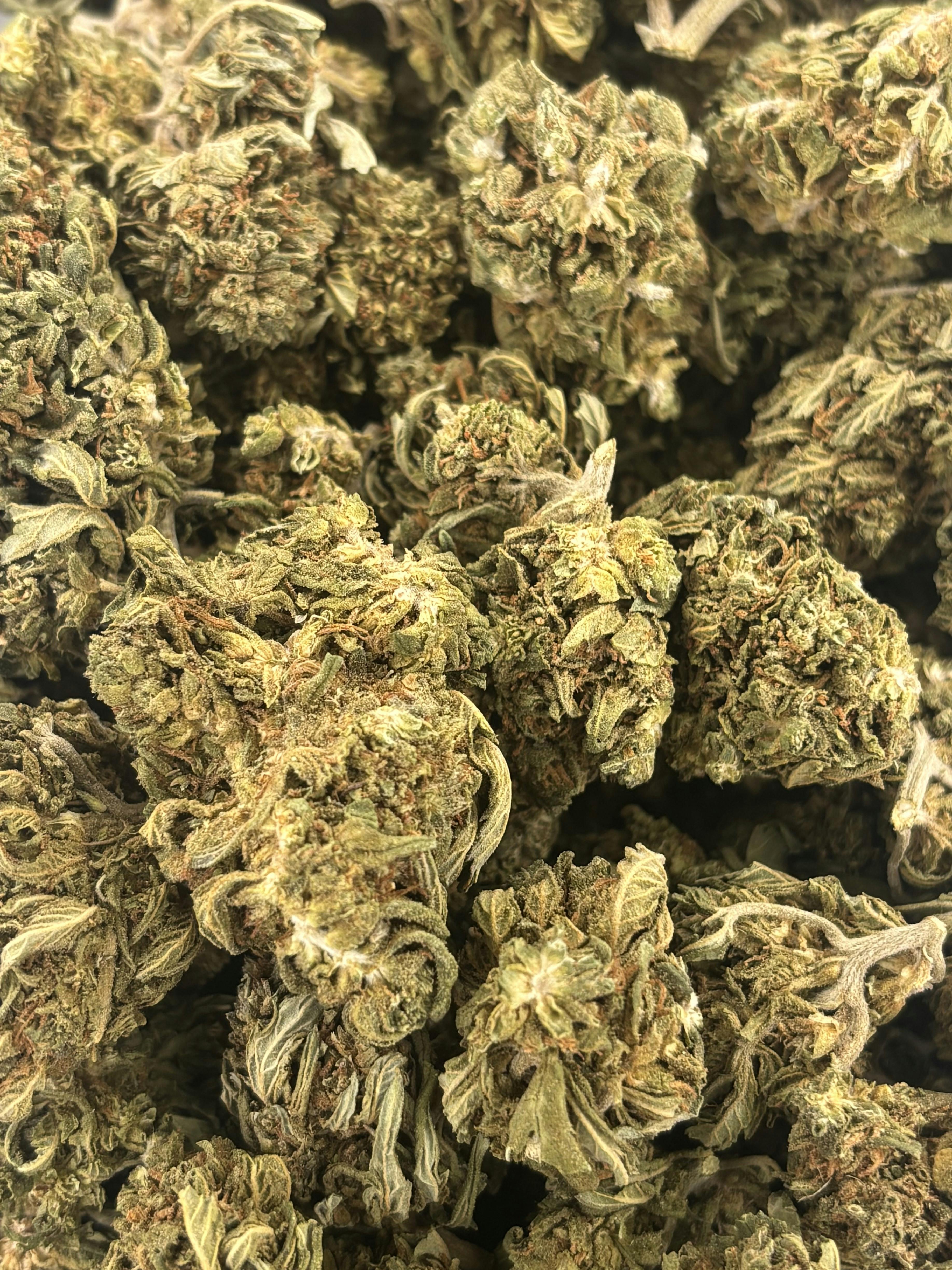 High Society | Deli Flower (Bronze)