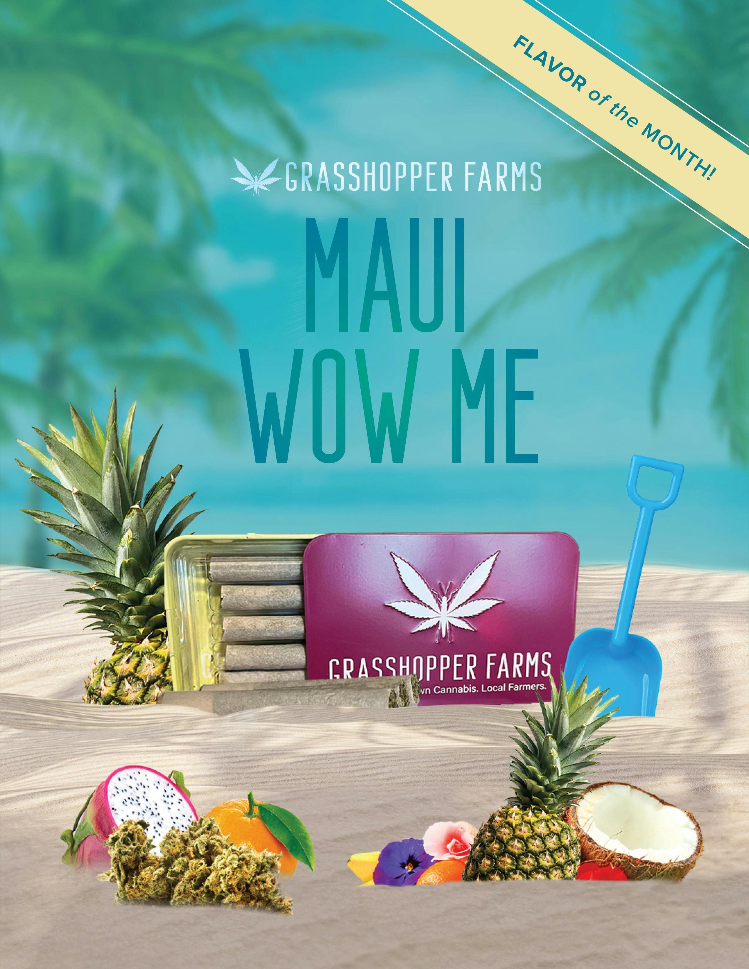 Grasshopper - 1g Infused Preroll - Maui Wow Me