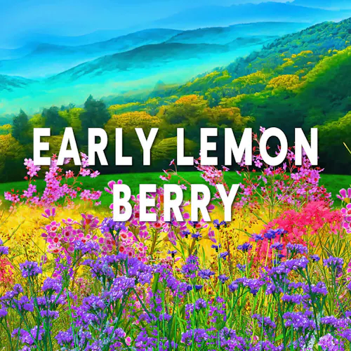 Riviera Creek | Early Lemon Berry 2.83g | Hybrid-1