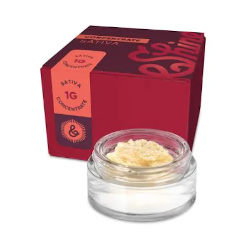 HASH | OMC (S) | 1g Sugar-active
