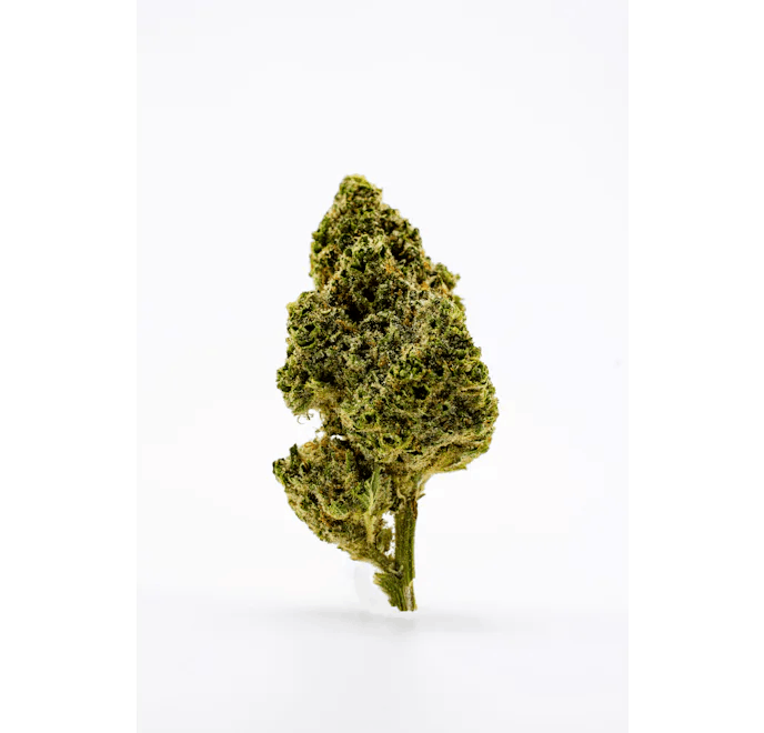 Flower | Dank | Randy Marsh | 3.5g (Sungrown)