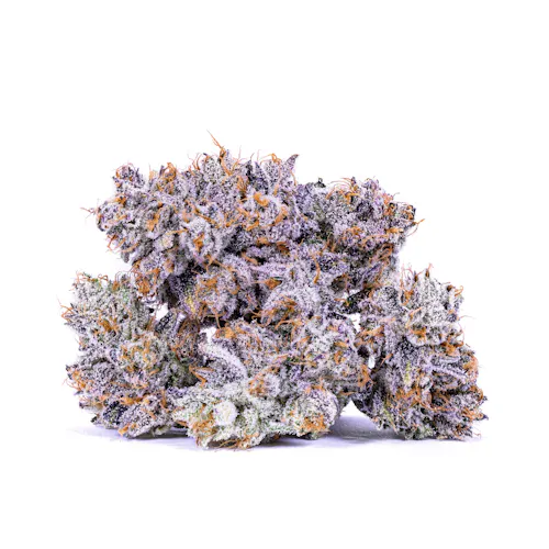 Biskant-2