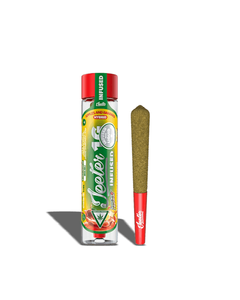 Apples & Bananas (H) - 1g Infused Pre-Roll - Jeeter