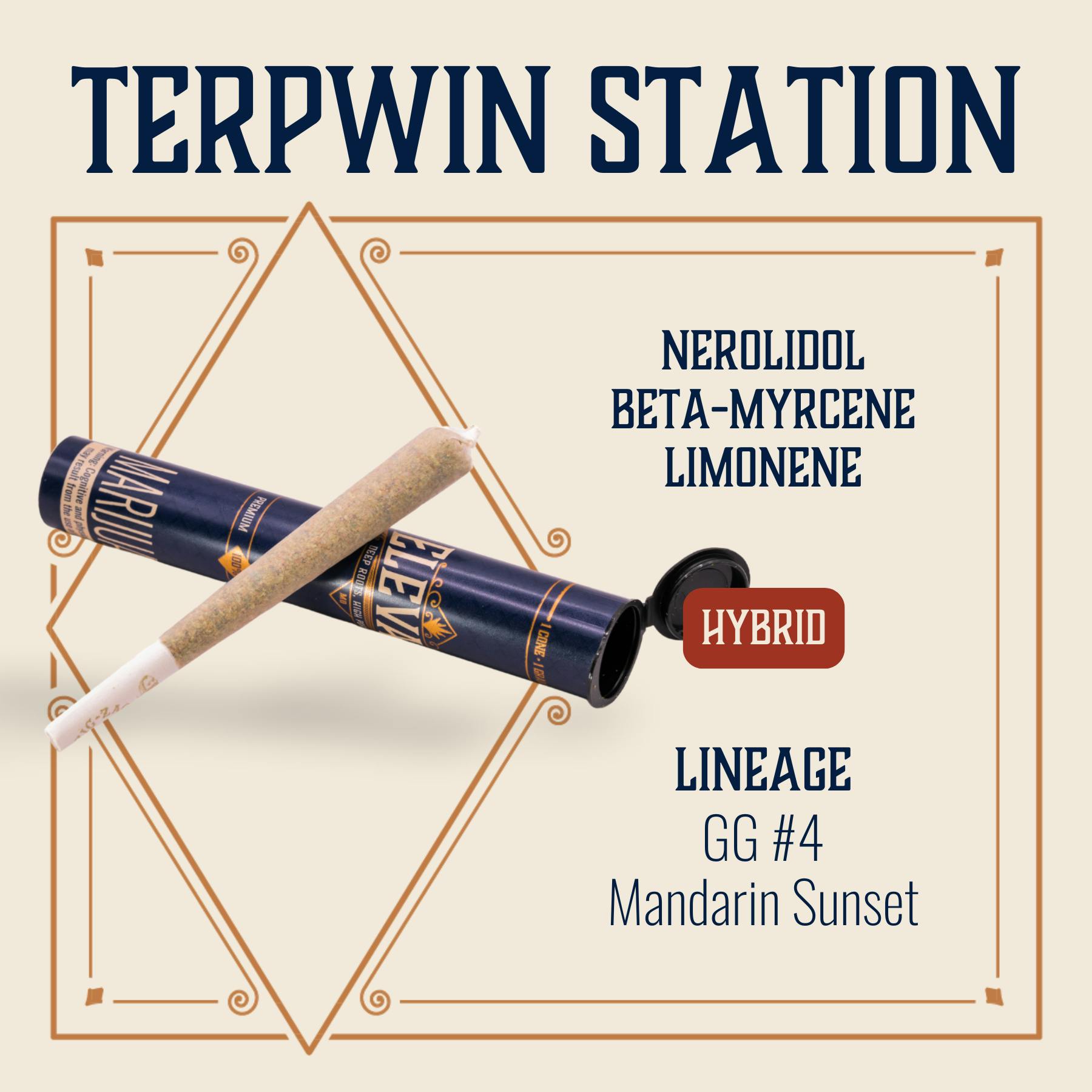 Elevate: Pre-Roll | Terpwin Station | 1g | CODES - Hannibal