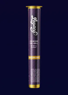 Skyy – Cinnamon Whiskey – Disposable 1g – Share Dispensary