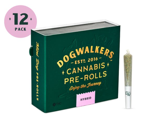 Bananaconda [0.35g x 12]