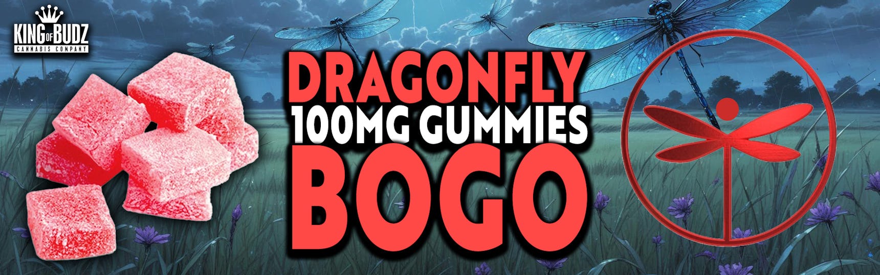 Dragonfly - 100mg Gummies - BOGO