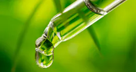 Tinctures category image