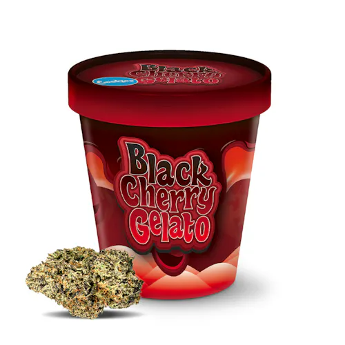Cookies – Black Cherry Gelato – Indoor – Flower Tub-active