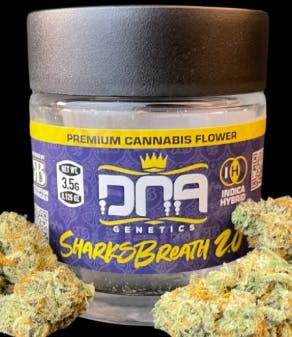 Product RB2 DNA Flower - Sharksbreath 2.0 3.5g