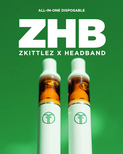 Freshy Fine - 1g Disposable - ZHB