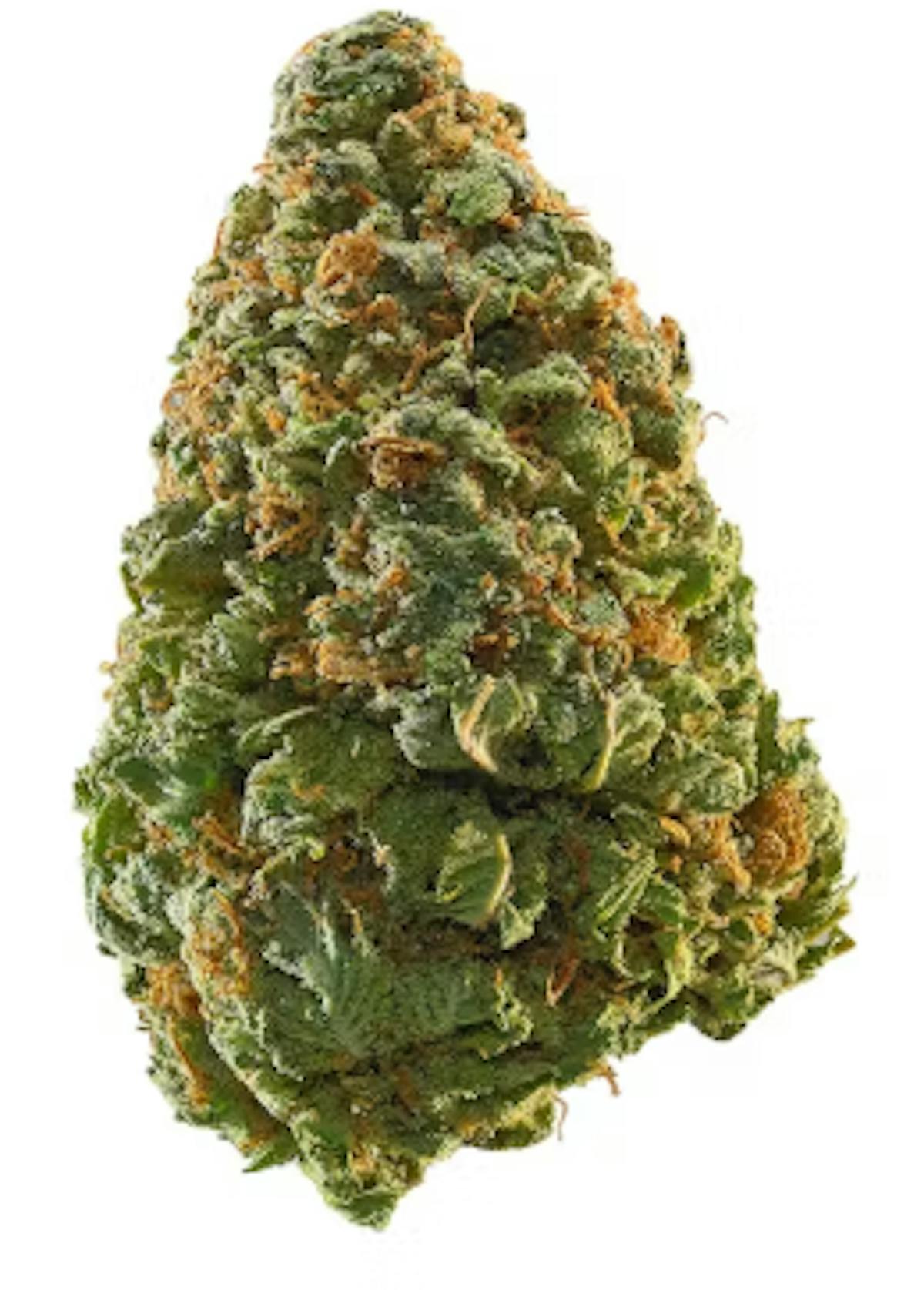 Image of Truffle Monkey – 14g Flower – Airplane Mode