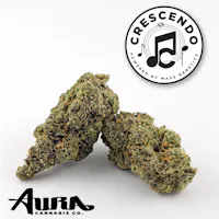 Product Aura Cannabis Co. - Crescendo Flower (3.5g)