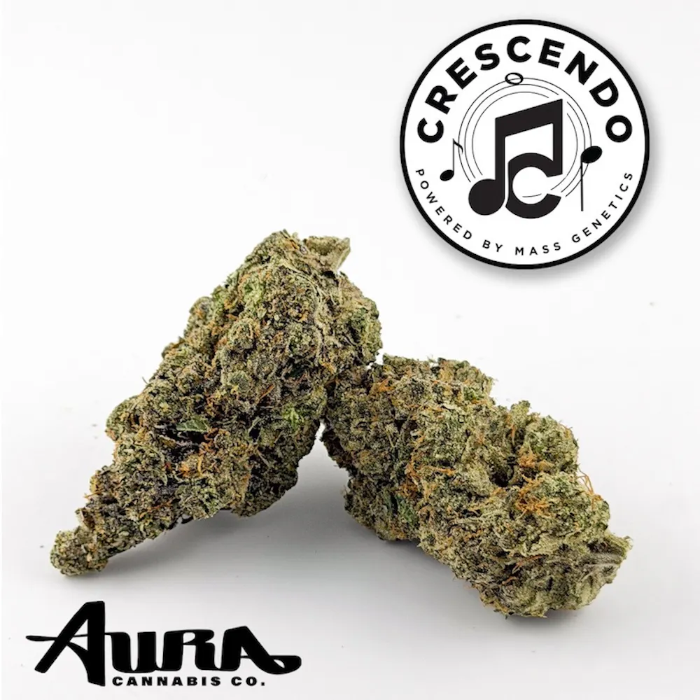 Product Aura Cannabis Co. - Crescendo Flower (3.5g)