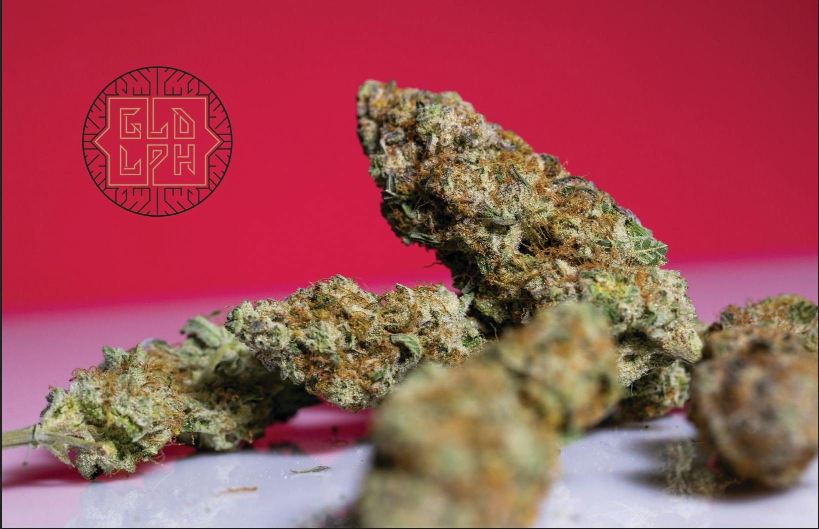 Product GLD LPH (Gold)