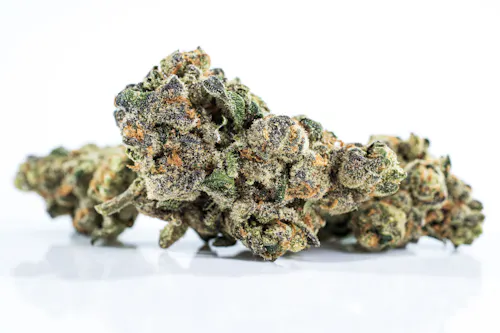 Gator Breath | 3.5g-2