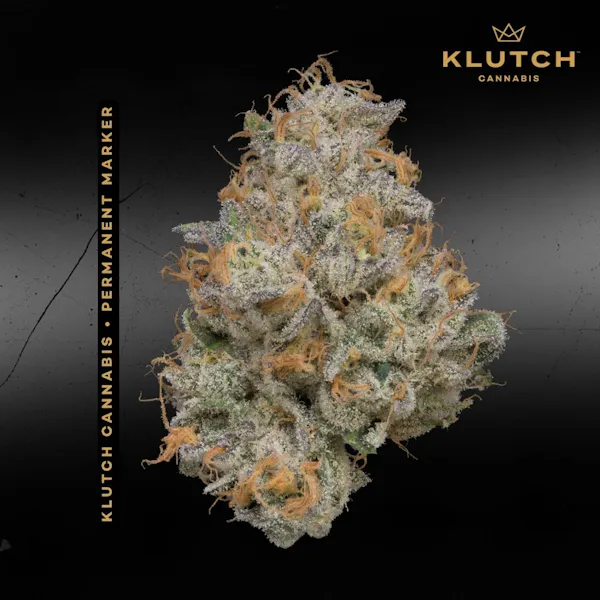 Kockeyed Small Buds | 14.15g Flower | Josh D |