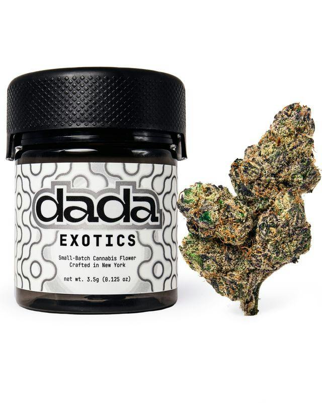 dada Exotics Blue Zushi