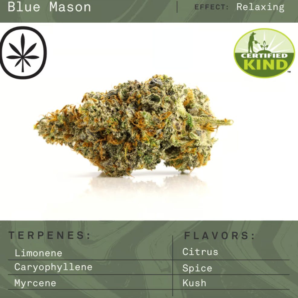 Product: Apothecare | Pre-Pack - - Blue Mason