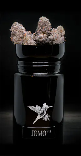 Noble Valley | Flower | JOMO 19 | 7g-active
