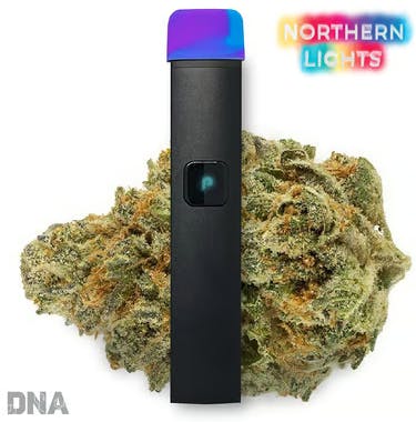 Northern Lights [I] - DNA Ready To Use | Culture - Stanton