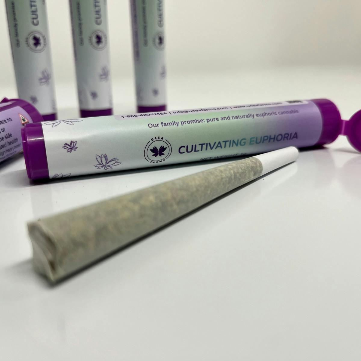 U4EA Farms | Sherb Cream Pie | Preroll - 1g