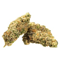 Flower | Phant - Tuna Breath - Indica