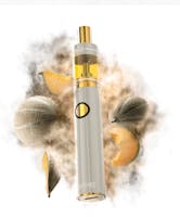 Product Cantaloupe Dream Disposable Vape