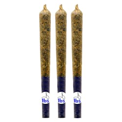 Infused Pre-Roll | D*gg Lbs - What the Fuzz - Indica - 3x0.5g